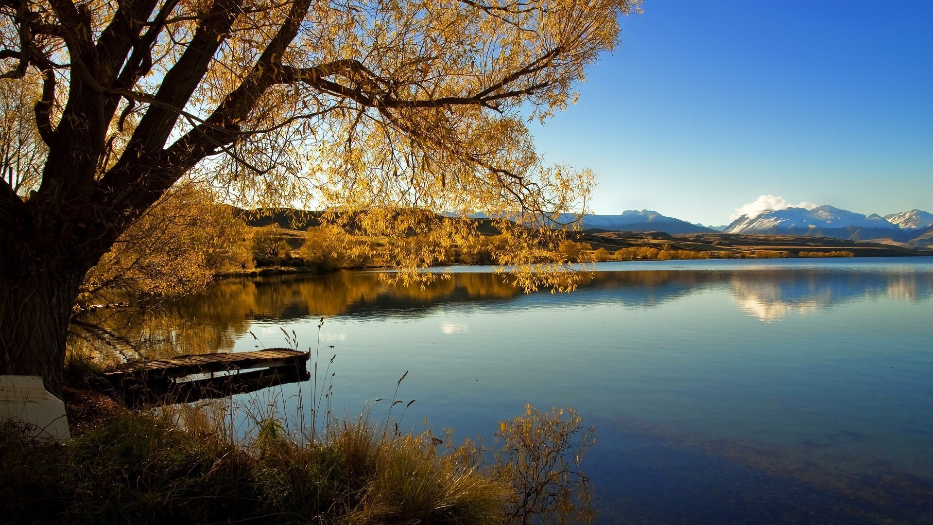 FIBA世界杯：中国队闯入八强，fiba世界杯资格赛